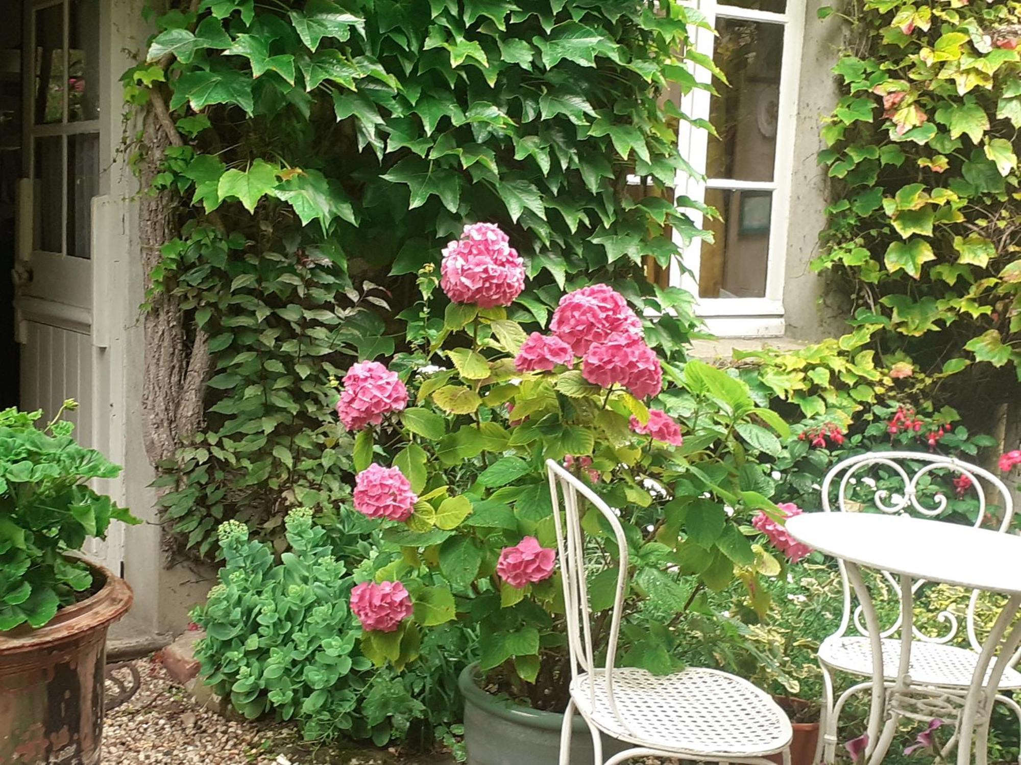 La Glycine 호텔 아스넬레스 외부 사진